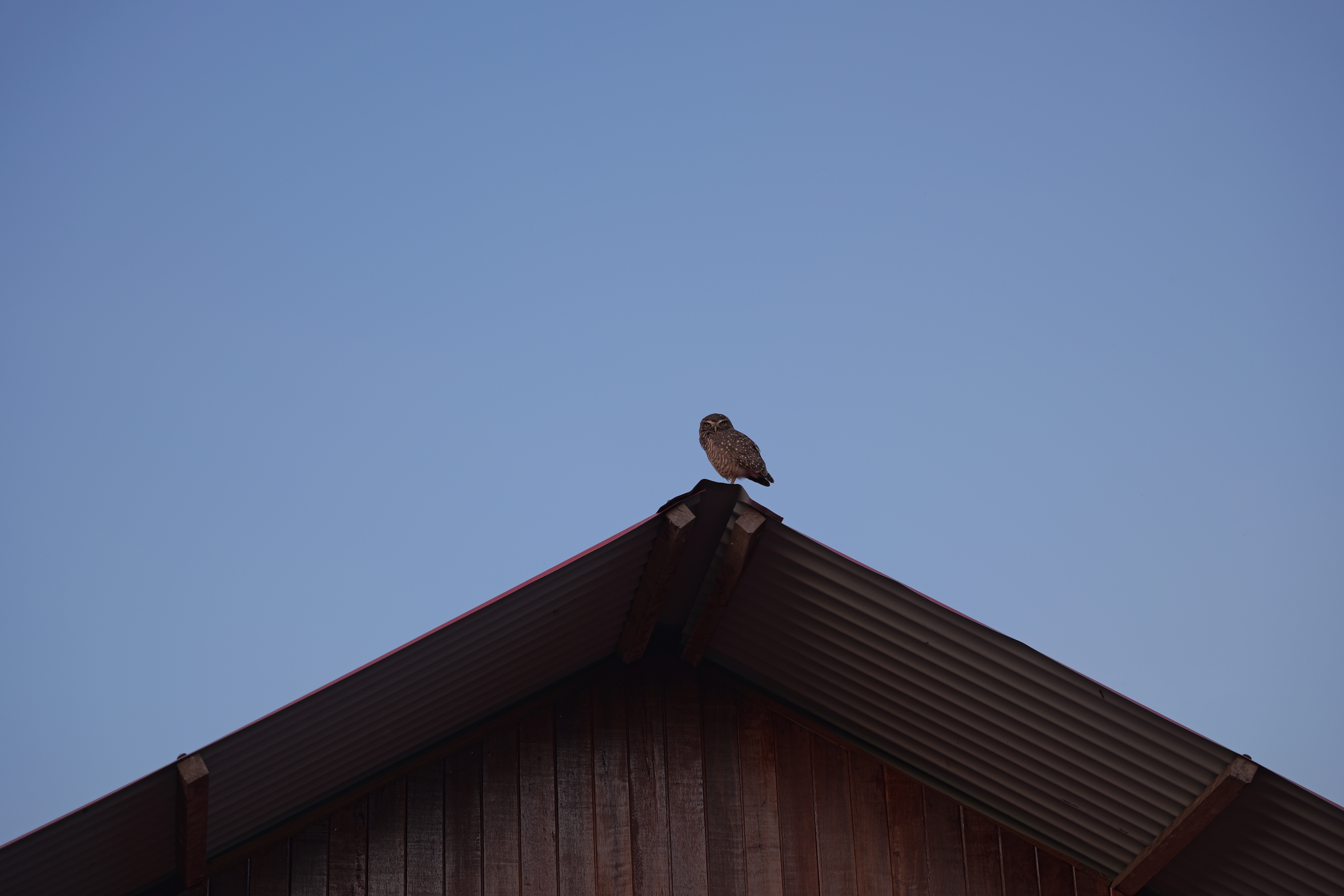 7-Day Retreat at Koman Keneya